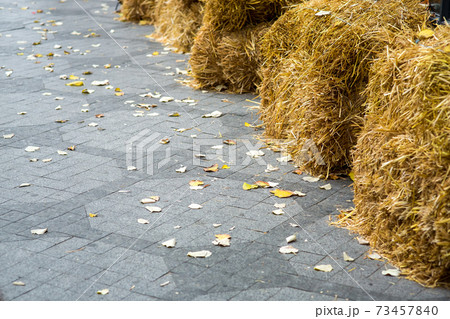 A pedestrian sidewalk of tile paved with a pattern covered with yellow autumn leaves and complex square sheaves of hay with space for text. 73457840