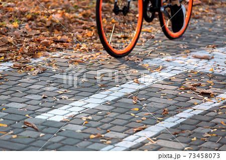 Bicycle lane with markings on which the wheels of the bicycle pass, the evening is autumn. Bicycle lane with markings on which the wheels of the bicycle pass, the evening is autumn. 73458073