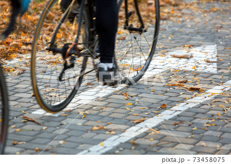 The bike passes along the direction of the bike along the cycle path, the sidewalk for cycling is strewn with yellow autumn leaves. The bike passes along the direction of the bike along the cycle path, the sidewalk for cycling is strewn with yellow autumn leaves. 73458075