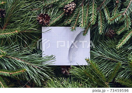 White leaf with a bird's feather for text on a Christmas background  73459596