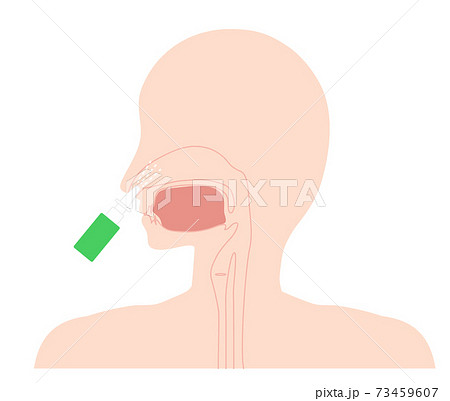 点鼻薬イメージ 73459607
