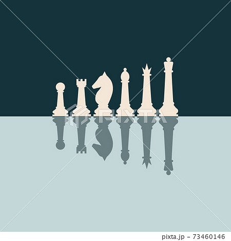 Chess pieces king queen bishop knight rook pawn flat vector icons set. Chess figures black and white.vector pieces illustration. Reflection of chess in the mirror 73460146