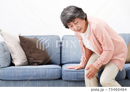 シニア女性　関節痛 73460464