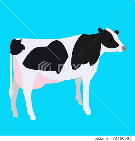 乳牛のイラスト Milk Cow Illustrationのイラスト素材