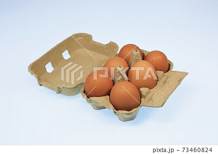 新鮮卵 新鮮卵 73460824