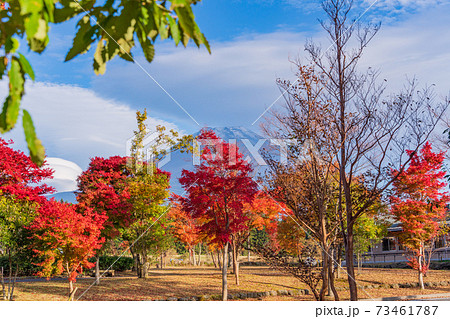 (静岡県)あさぎりフードパークから望む、富士山 (静岡県)あさぎりフードパークから望む、富士山 73461787