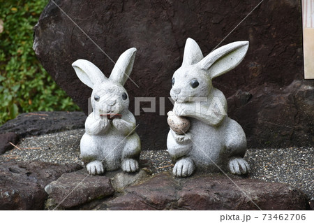 兎とお酒 73462706