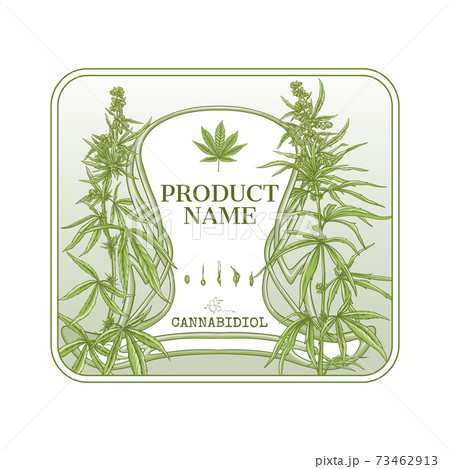 Cannabis Template For Product Label Cosmetic のイラスト素材