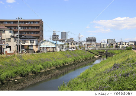 笹目川（小堤橋より上流を望む） 73463067