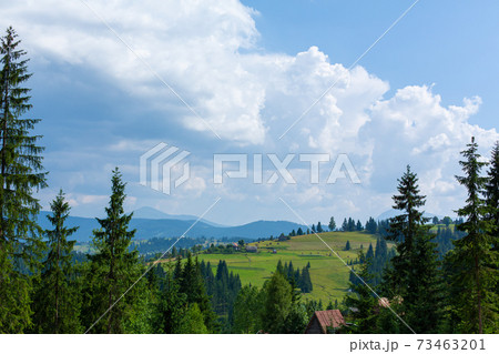 Beautiful summer landscape of village among Karpaty mountains 73463201