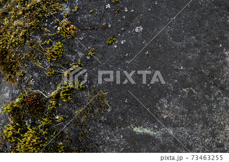 Black stone in retro style. 73463255