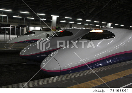新潟駅に停車中の上越新幹線E2系1000番台 73463344