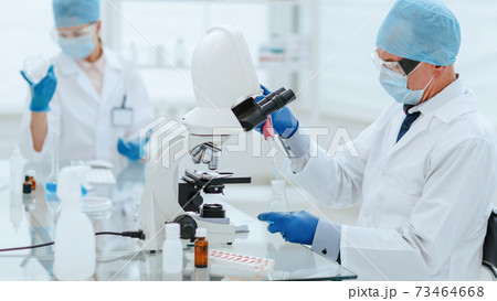 close up. scientists studying the influenza strains . close up. scientists studying the influenza strains . 73464668