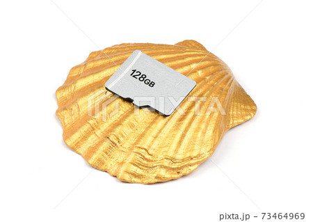 SD memory card SD memory card 73464969