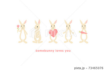 白うさぎのイラスト Somebunny Loves You のイラスト素材