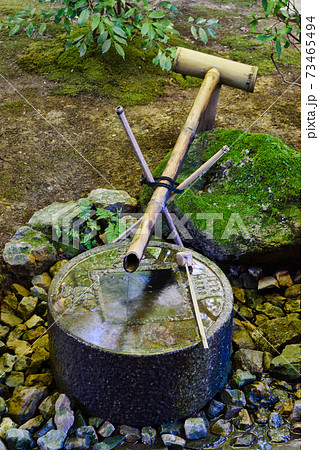 京都 龍安寺の蹲踞（つくばい）の写真素材 [73465494] - PIXTA