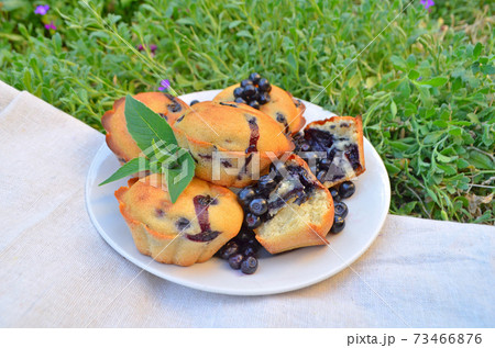 Muffins with blueberries 73466876