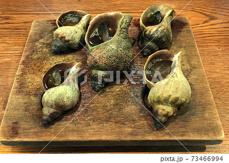 つぶ焼　ツブ焼　つぶ焼き　ツブ焼き 73466994