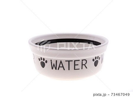 dog bowls isolated 73467049