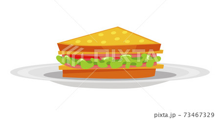 Sandwich on plate isolated on white background 73467329
