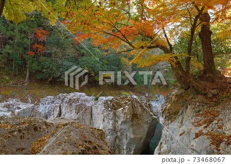 秋の猿飛千壺峡 73468067