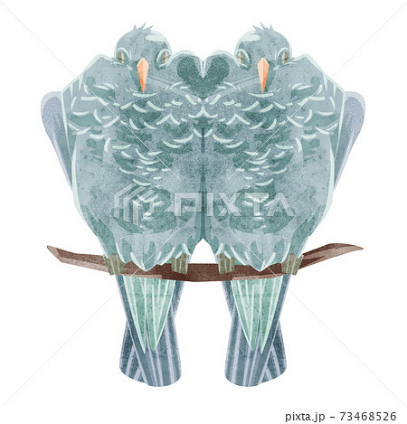 鳩のつがいの手書き水彩風イラスト 鳩のつがいの手書き水彩風イラスト 73468526