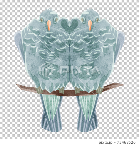 鳩のつがいの手書き水彩風イラスト 鳩のつがいの手書き水彩風イラスト 73468526