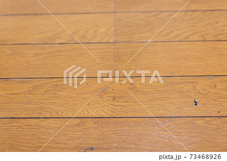 床のワックス塗布 リペア 床のワックス塗布 リペア 73468926