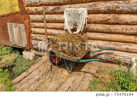 Cart with natural cow manure 73470194