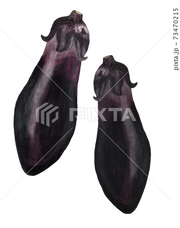 茄子2本のイラスト素材
