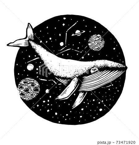 Hand-Drawn Doodle of whale flies in space . Vector Illustration - stock vector. 73471920