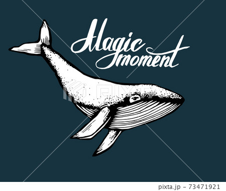 Hand-Drawn Doodle of whale with lettering Magic moment on dark backround. Vector Illustration - stock vector. Hand-Drawn Doodle of whale with lettering Magic moment on dark backround. Vector Illustration - stock vector. 73471921
