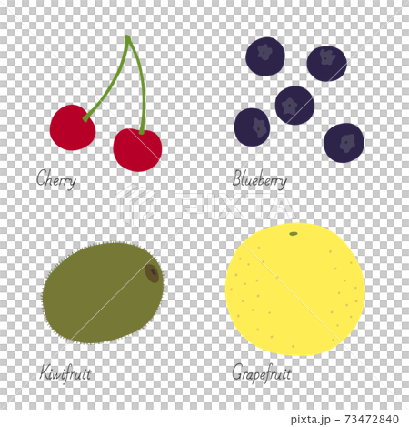 Fruit Illustrations-Cherry, Blueberry, Kiwi, Grapefruit 73472840