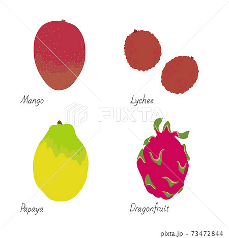 果物のイラスト マンゴー ライチ パパイヤ ドラゴンフルーツ タイトル変更のイラスト素材