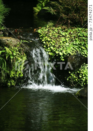 心安らぐ、日本庭園の小瀧 73474271