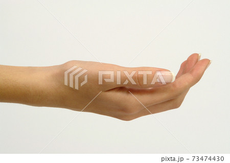 Women Hand for Presentations Women Hand for Presentations 73474430