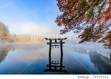 紅葉と早朝の金鱗湖 天祖神社 大分県由布市 紅葉と早朝の金鱗湖 天祖神社 大分県由布市 73475123