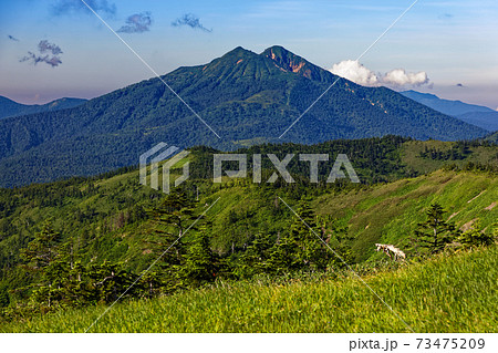 会津駒ヶ岳稜線から見る燧ヶ岳の写真素材 [73475209] - PIXTA