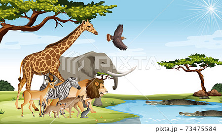 Group of Wild African Animal in the forest scene Group of Wild African Animal in the forest scene 73475584