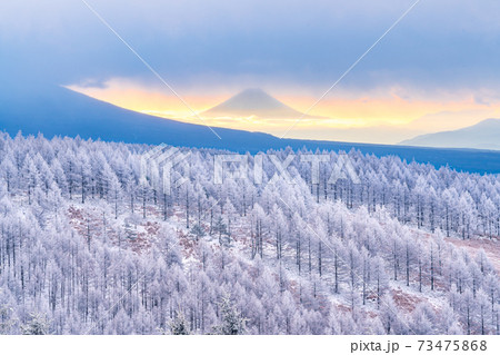 【長野県】ビーナスラインの冬景色 【長野県】ビーナスラインの冬景色 73475868