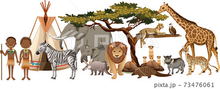 African tribe with group of wild african animal on white background 73476061
