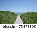 海へ続く道 73476305