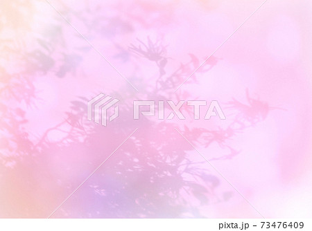 早春のやさしい光に包まれる、花葉のシルエット 73476409