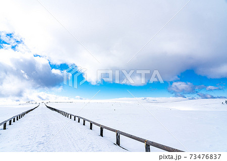 【冬山イメージ】厳冬期の雪原 73476837