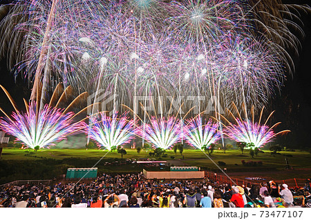 古河花火大会「あの夏の思い出・野村花火工業」 73477107