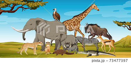 Group of wild african animal in the forest scene 73477397