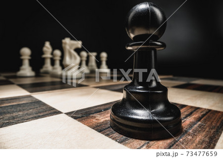 Chess figures on chess board macro photo 73477659