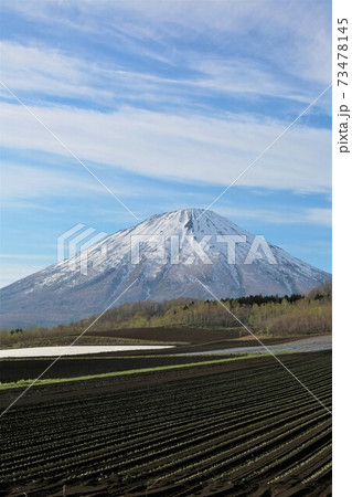 春の羊蹄山 春の羊蹄山 73478145