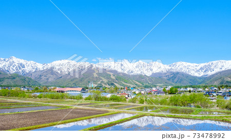 春の白馬村（5月） 73478992