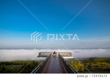 Landscape nature flower Tung Bua Tong, View point. Landscape nature flower Tung Bua Tong, View point. 73479172